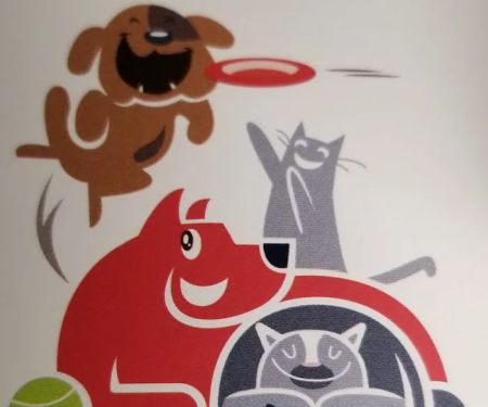 Chester Veterinary Services, LLC