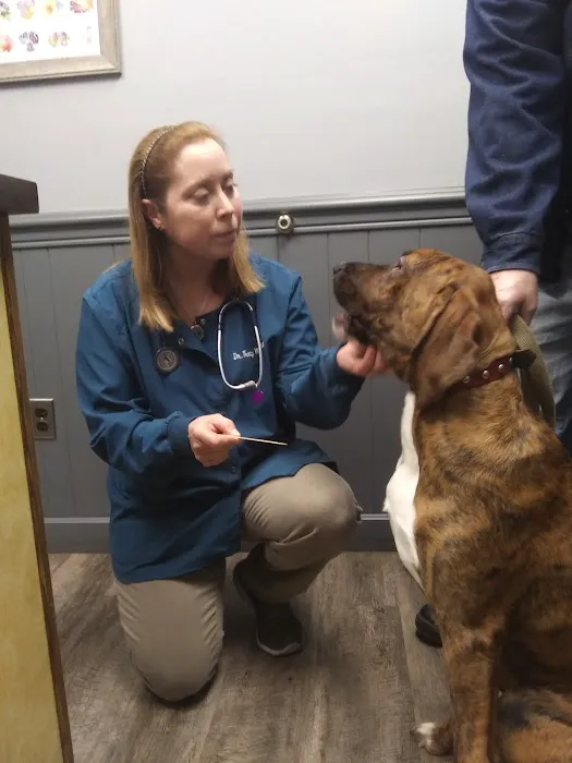 Chester Veterinary Services, LLC Picture 5