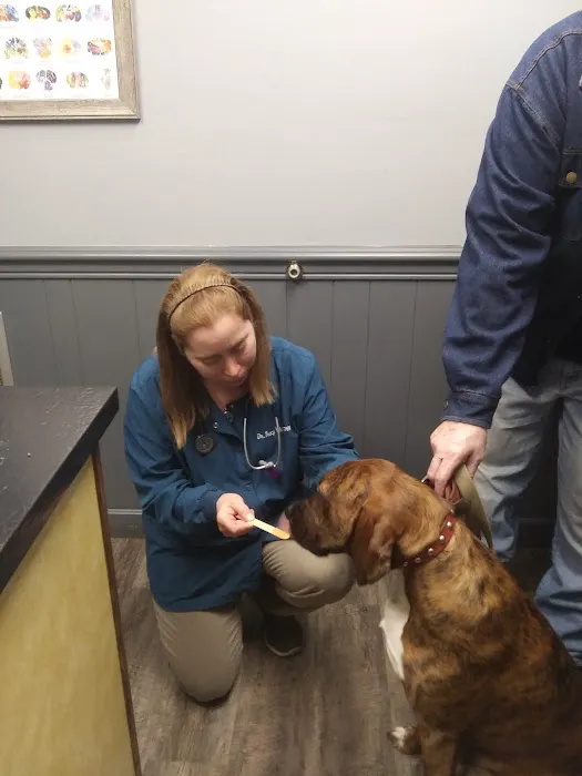 Chester Veterinary Services, LLC Picture 8