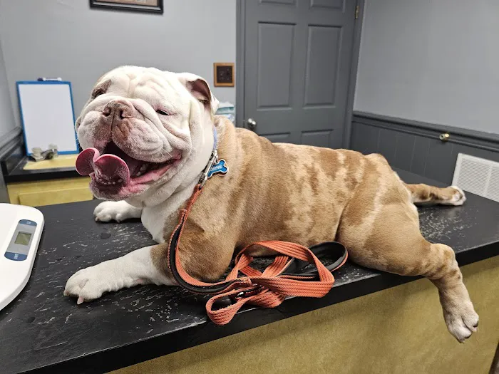 Chester Veterinary Services, LLC Picture 3