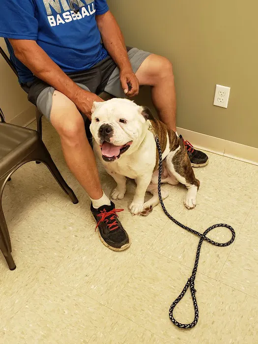 Glendale Animal Hospital Inc Picture 7