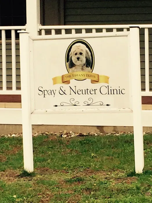 Tiffany Dlesk Spay-Neuter Clinic Picture 1