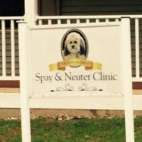 Tiffany Dlesk Spay-Neuter Clinic ico