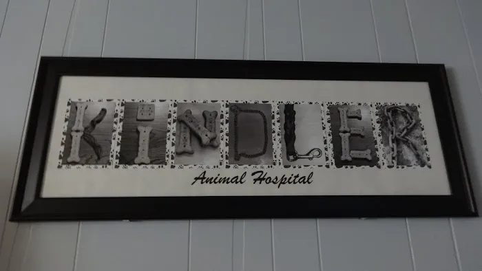 Kindler Animal Hospital Picture 2