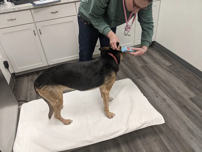 Kindler Animal Hospital Picture 5