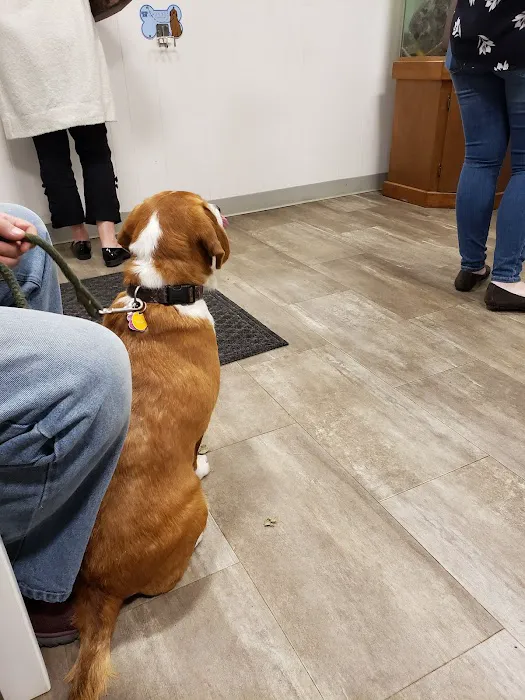 Kindler Animal Hospital Picture 8