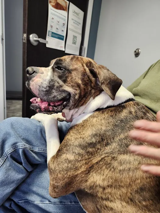 Goodworks Veterinary Hospital Picture 1