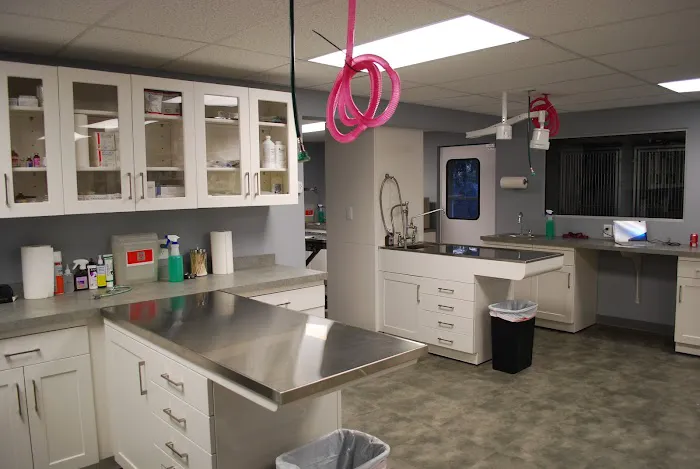 Goodworks Veterinary Hospital Picture 5