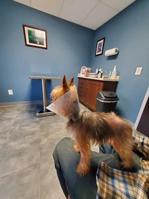 Goodworks Veterinary Hospital Picture 9