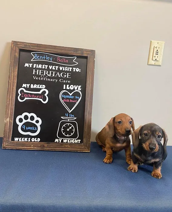 Heritage Veterinary Care Picture 1
