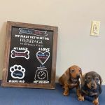 Heritage Veterinary Care