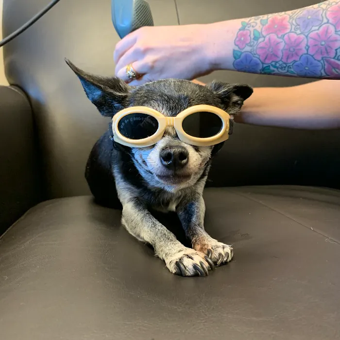 Heritage Veterinary Care Picture 10