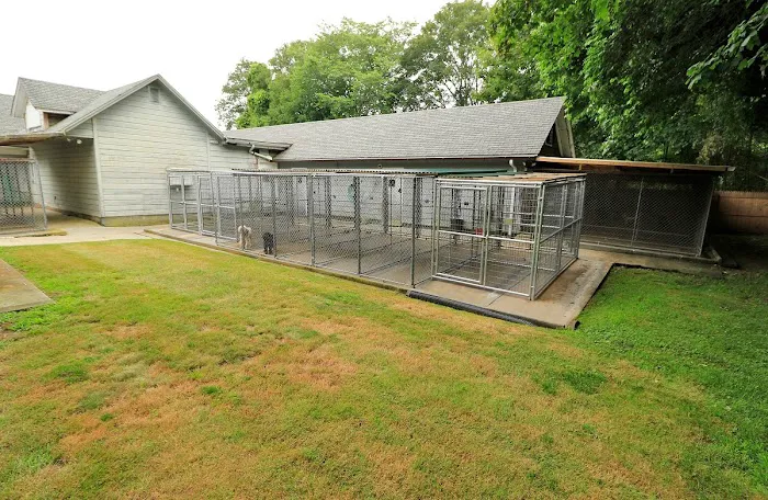 East Hampton Veterinary Group Picture 5