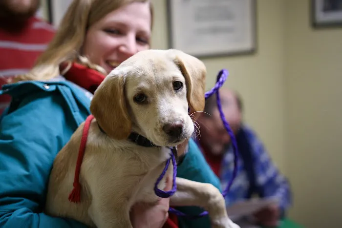 East Hampton Veterinary Group Picture 6
