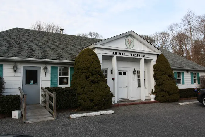East Hampton Veterinary Group Picture 7