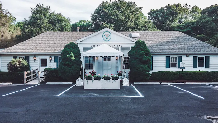 East Hampton Veterinary Group Picture 9