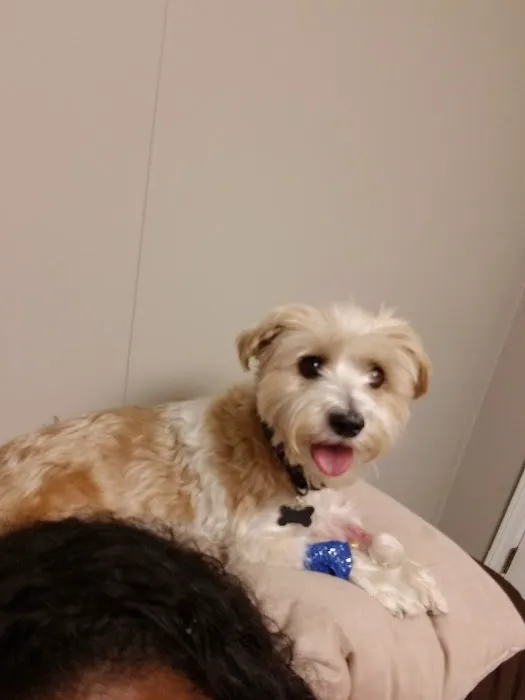 North Fork Animal Hospital Picture 8