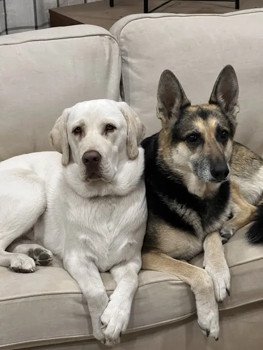North Fork Animal Hospital Picture 7