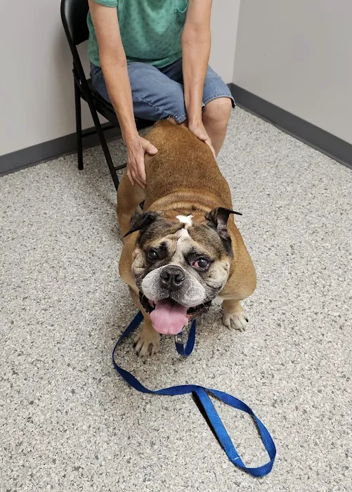 Conneaut Creek Veterinary Clinic Picture 1