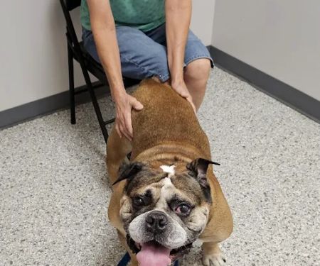 Conneaut Creek Veterinary Clinic