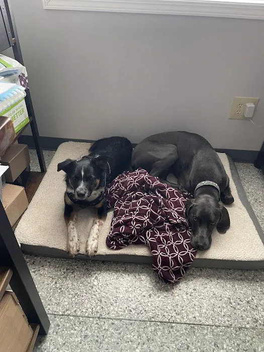Conneaut Creek Veterinary Clinic Picture 7