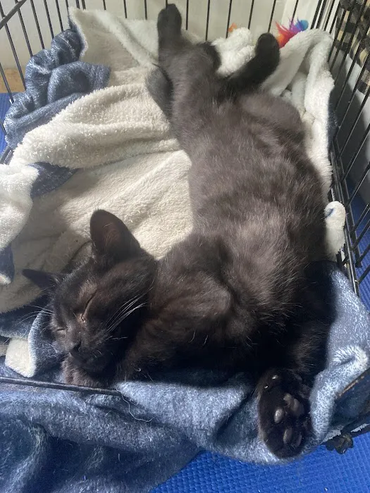 Conneaut Creek Veterinary Clinic Picture 10