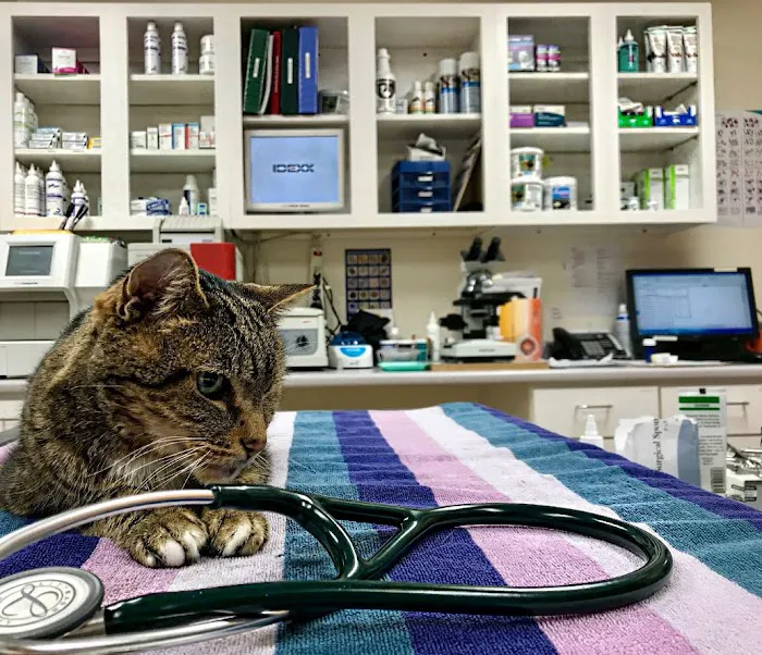 Linwood Veterinary Clinic Picture 9