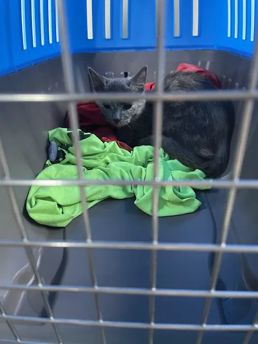 Vermont Companion Animal Ntrng Picture 5