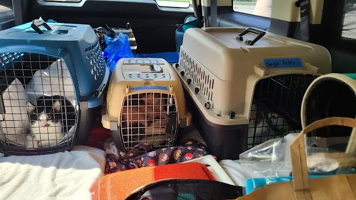 Vermont Companion Animal Ntrng Picture 4