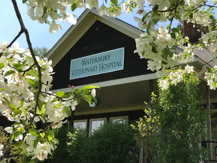 Waterbury Veterinary Hospital Picture 5
