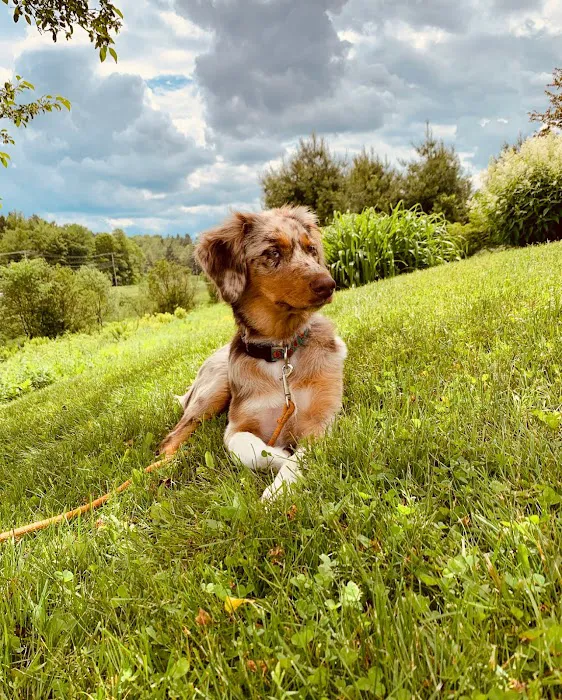 Waterbury Veterinary Hospital Picture 10