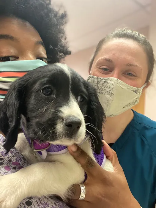 Ark Veterinary Hospital Picture 1