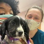 Ark Veterinary Hospital