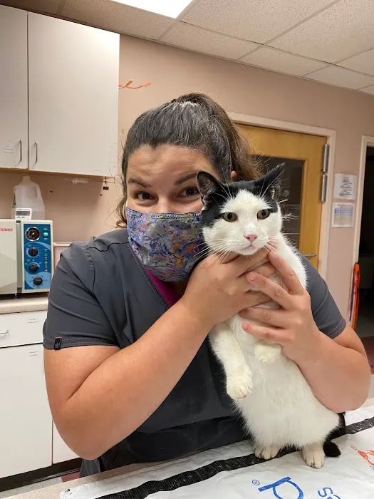 Ark Veterinary Hospital Picture 3