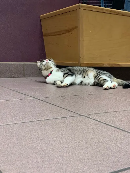 Ark Veterinary Hospital Picture 5