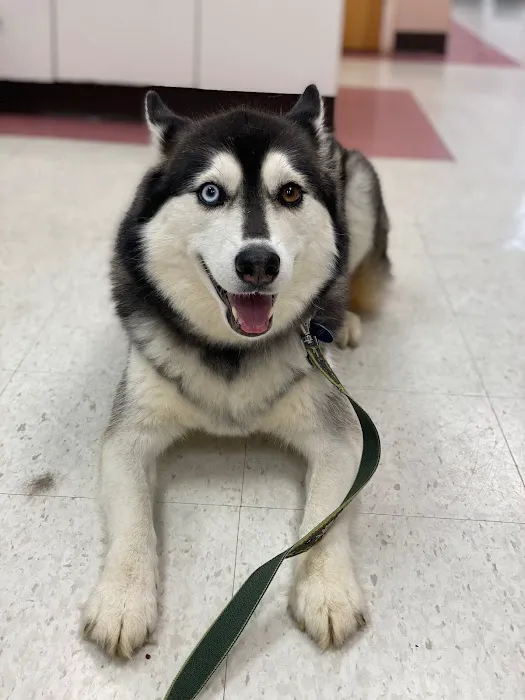 Ark Veterinary Hospital Picture 6