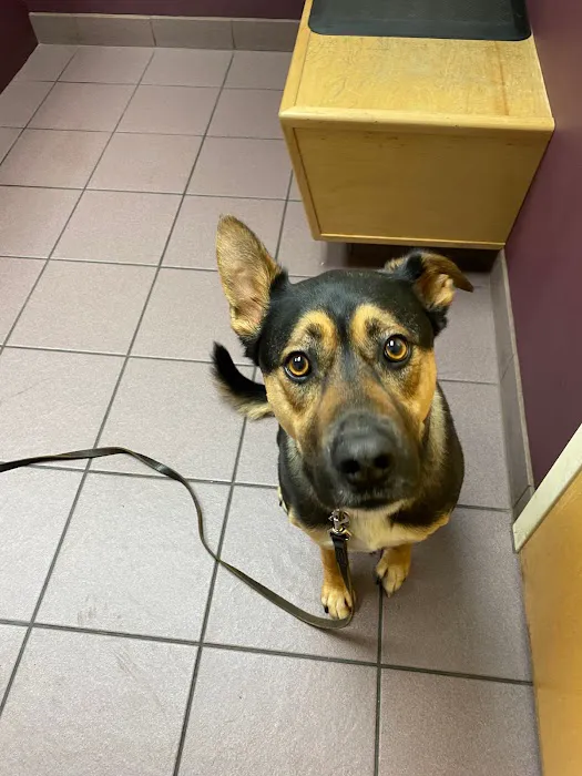 Ark Veterinary Hospital Picture 8