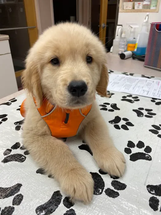 Ark Veterinary Hospital Picture 9