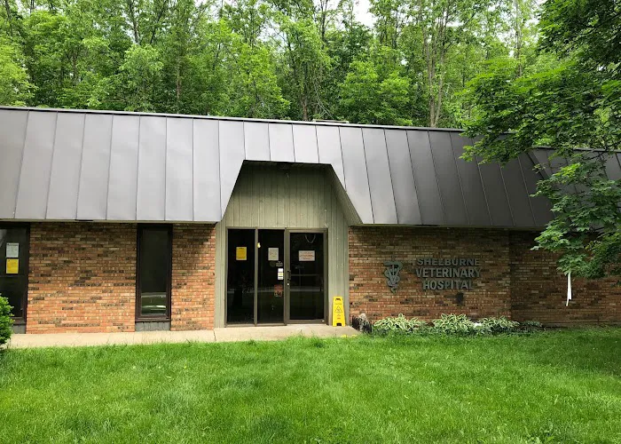 Shelburne Veterinary Hospital Picture 8