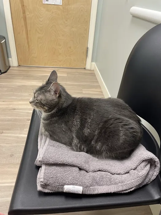 Orchard Veterinary Hospital Picture 2