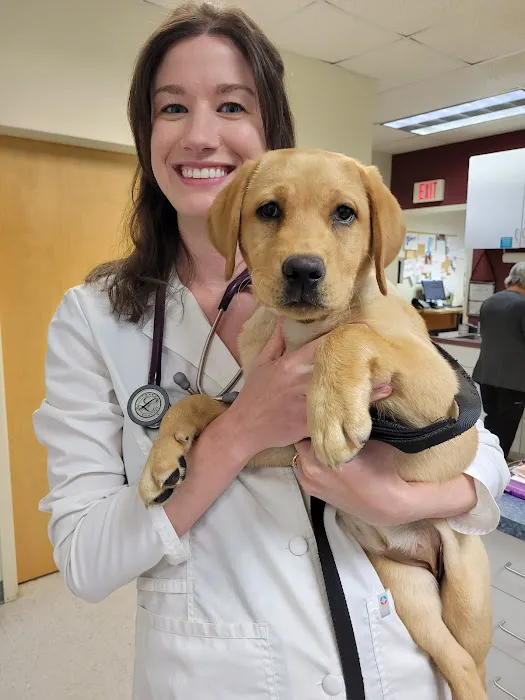 Orchard Veterinary Hospital Picture 6
