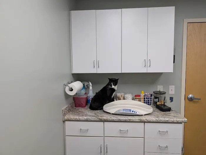 Orchard Veterinary Hospital Picture 4