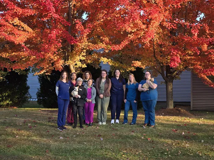 Orchard Veterinary Hospital Picture 7