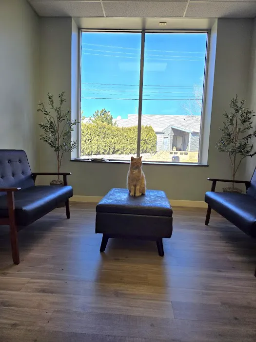 Orchard Veterinary Hospital Picture 9