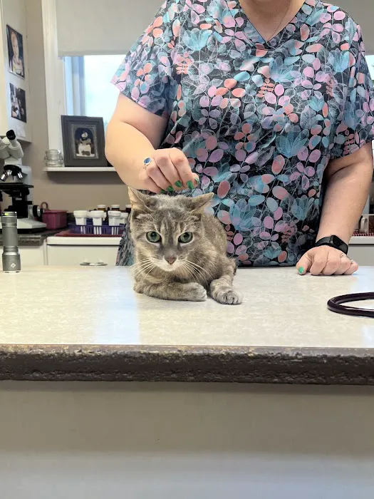 Elmbrook Veterinary Services Picture 3