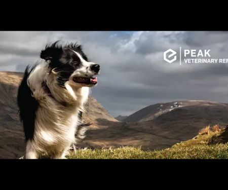 Peak Veterinary Referral Center