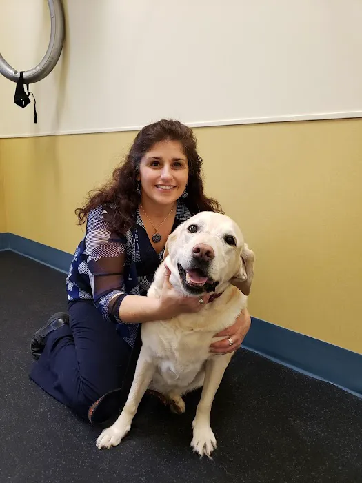 Peak Veterinary Referral Center Picture 4