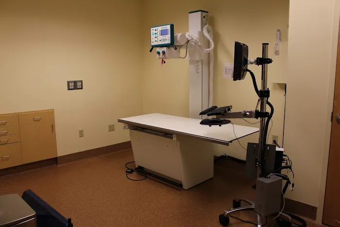 Peak Veterinary Referral Center Picture 7