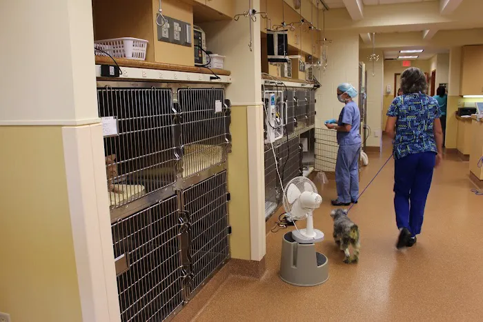 Peak Veterinary Referral Center Picture 10