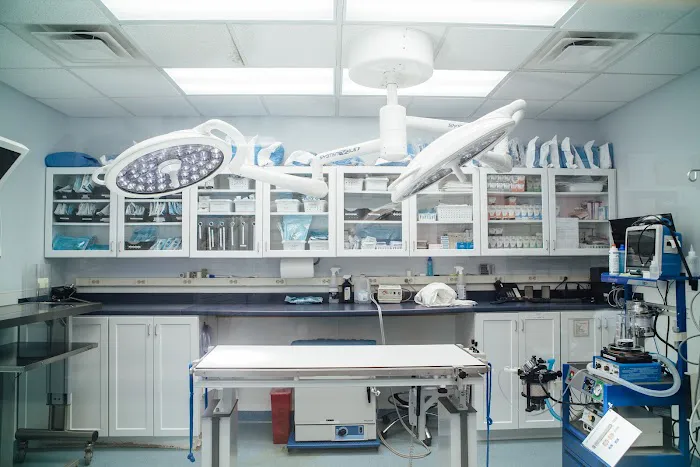 Burlington Emergency & Veterinary Specialists Picture 2